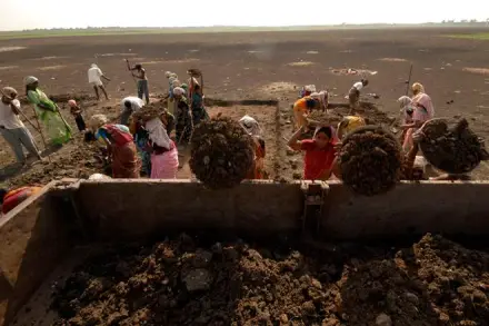Soil health, Soil health cards, farmers, Agriculture Ministry, to promote balanced use of soil nutrients, crop productivity