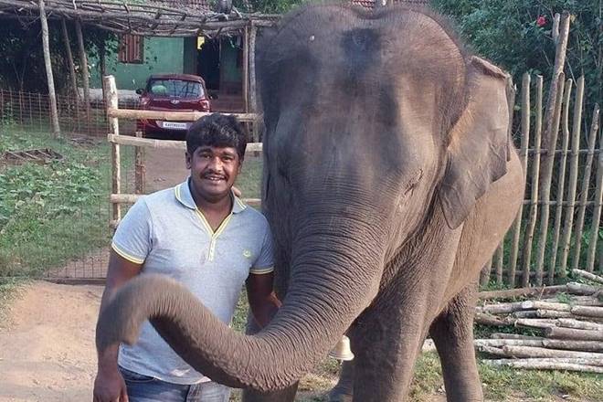 selfie, selfie kills man, selfie Bengaluru biological park, Bannerghatta Biological Park, 27-year-old Bengaluru man killed, Selfie moment kills man