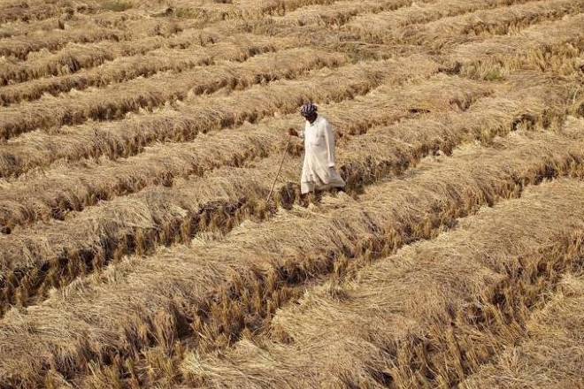 farmers, landless farmers, farmers crisis, farm loan waiver, demonetisation, farmers debt
