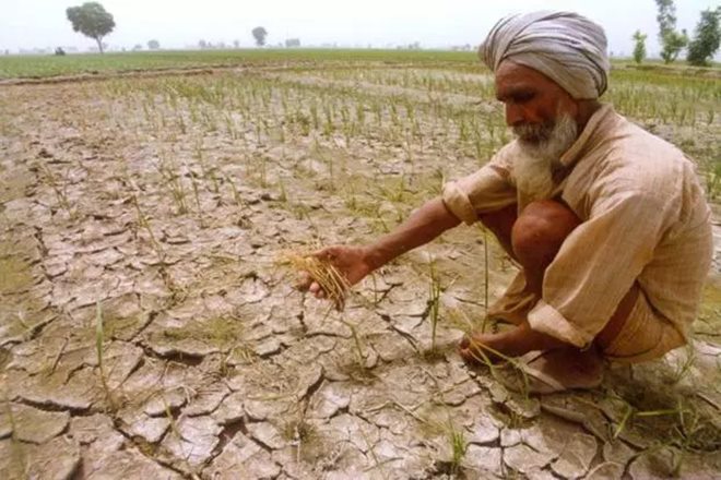 BJP MLA, SP leader, Uttar Pradesh, Farmer death, farmer death case