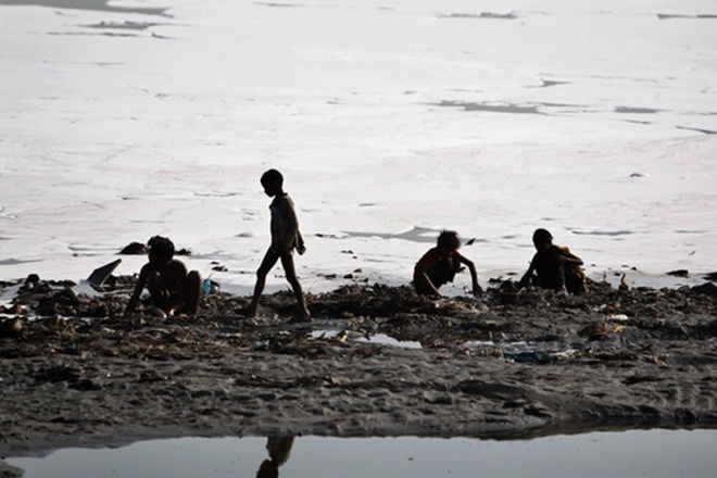 Yamuna, Yamuna pollution, Yamuna delhi, Yamuna up, Yamuna uttar pradesh, Yamuna, yamuna pollution, yamuna high court, India news latest news