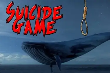 blue well games, blue well games online, Blue Whale Challenge, Blue Whale game, suicide game, haryana, BJP, Gurgaon, schools