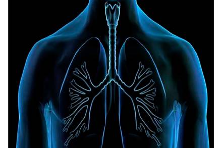 Brain Dead, Pune, Chennai, Mumbai, Lung Transplant, Fortis Hospital, Dr Anvay Mulay