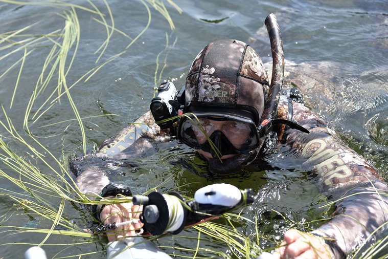 Vladimir Putin, Vladimir Putin holiday, putin holiday, shirtless putin, hunting fish, Siberia
