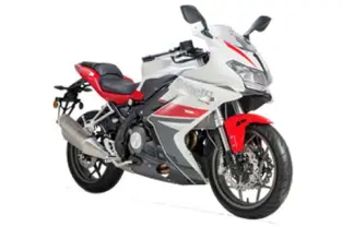 Benelli 302R