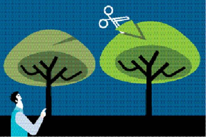 Long term capital gains tax, Long term capital gains tax on fd, Long term capital gains tax fixed income, indexation benefit, indexation benefit calculation, how to calculate indexation benefit