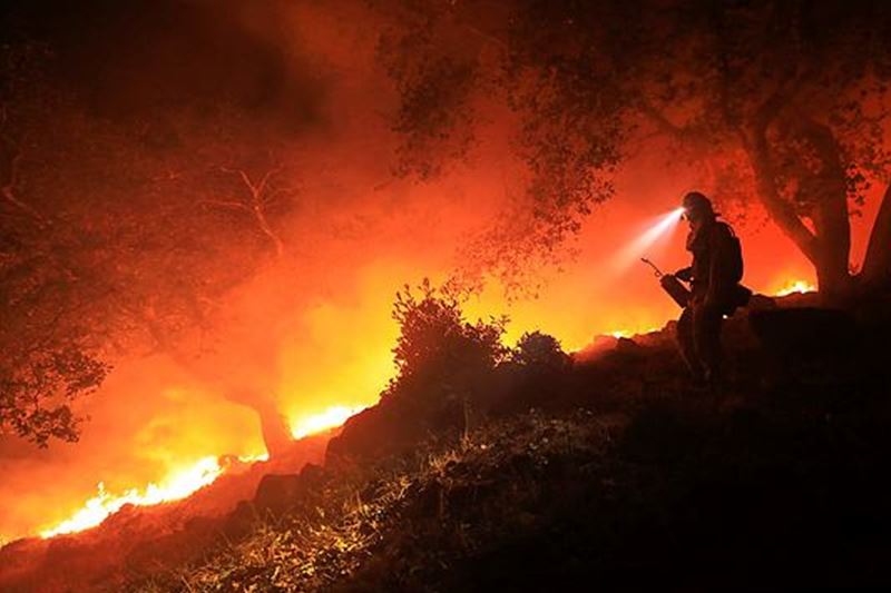 California fire, California fire today, San Francisco, Calistoga, california wildfire, california wildfire, pictures, california firefighters, california fire damage, california fire death toll, california fire news,
