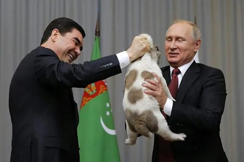 Vladimir putin, Russian President, Bulgarian shepherd, Kurbanguly Berdymukhamedov, Turkmenistan president, Russian President, Putin's dog collection, putin dogs