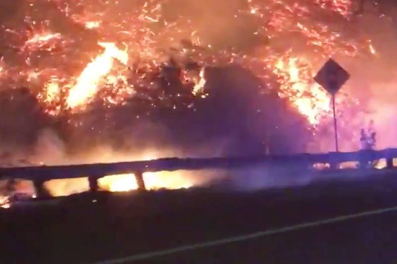 California wildfire, california fire, Los Angeles fire, california fire death, california fire photos, california wildfire latest news, Rupert Murdoch winery, wildfire destroy homes, wildfire, California, California latest news
