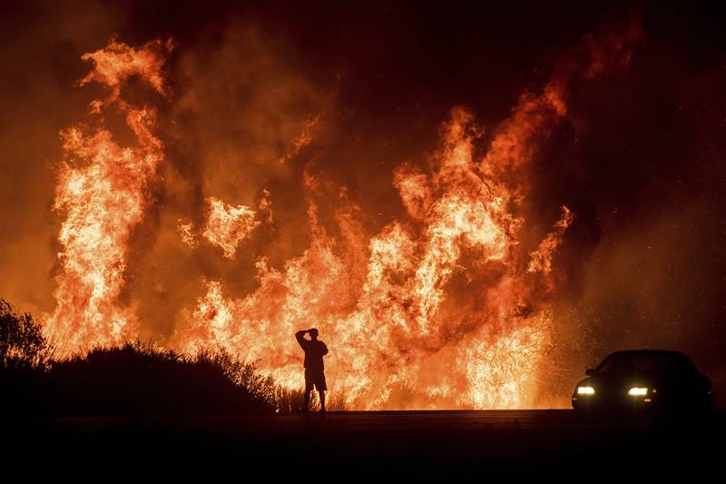 California wildfire, california fire, Los Angeles fire, california fire death, california fire photos, california wildfire latest news, Rupert Murdoch winery, wildfire destroy homes, wildfire, California, California latest news