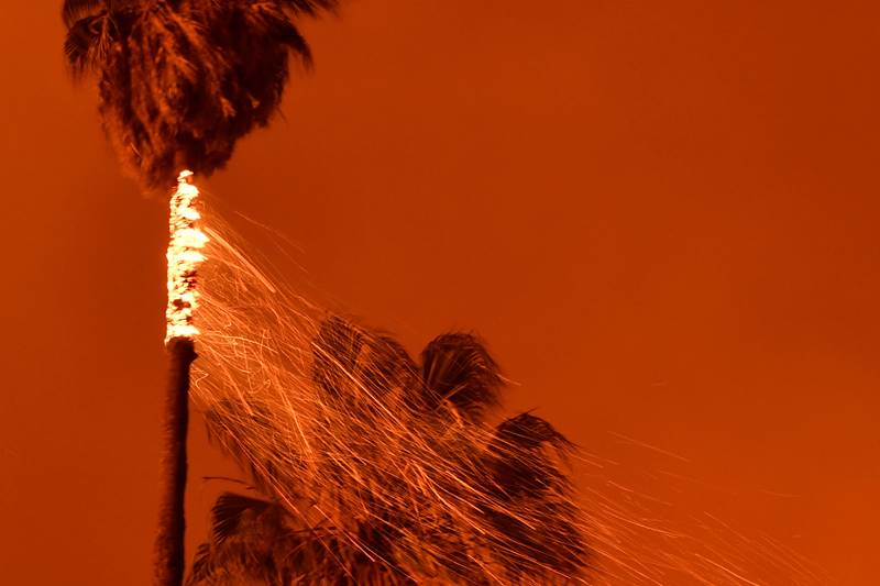 California wildfire, california fire, Los Angeles fire, california fire death, california fire photos, california wildfire latest news, Rupert Murdoch winery, wildfire destroy homes, wildfire, California, California latest news