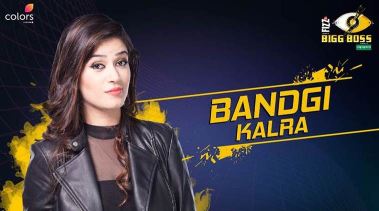Bigg Boss 11 contestants, googles most searched, google trends, google treen search, bandagi Kalra, Arshi Khan, Sunny leone, sunny leone films,disha patani, disha patani photos, shilpa shinde, sapna choudhary