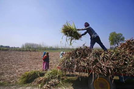 Farm sector reforms, agriculture, agriculture marketing, Concurrent List