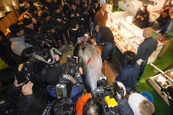bluefin tuna, bluefin tuna sold, japan bluefin tuna, japan tsukiji market, new year auction japan, japan fish market