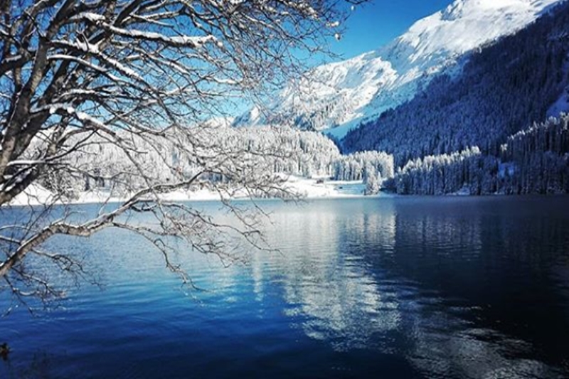 davos, world economic forum, davos pictures, narendra modi davos, theresa may davos, india at davos, switzerland