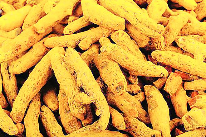 turmeric prices today, turmeric production in india, india turmeric production