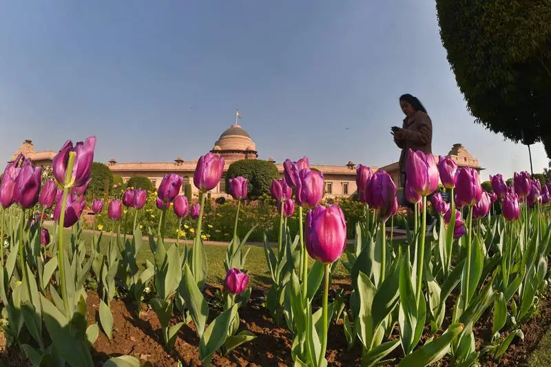 Mughal Gardens, Rashtrapati Bhavan, Mughal Gardens of Rashtrapati Bhavan, Mughal Gardens open, when is Mughal Gardens opening, Mughal Gardens photos, flowers, flower show, tulip, roses, Mughal Gardens open for public, Mughal Gardens timings, Udyanotsav