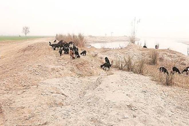 sabarmati, sand mining, illegal sand mining, drones surveillance, Vijay Rupani, gujarat, night-vision drones, Sabarmati riverbed, india