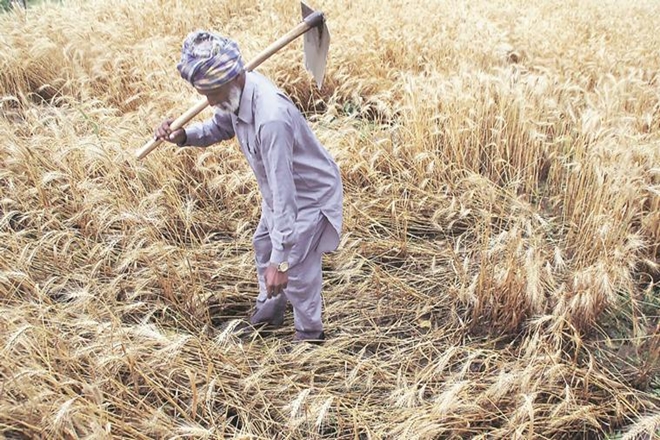Huge cost to quell rural unrest: Farm loan waivers to touch $40 bn by 2019 Lok Sabha elections, says BofAML