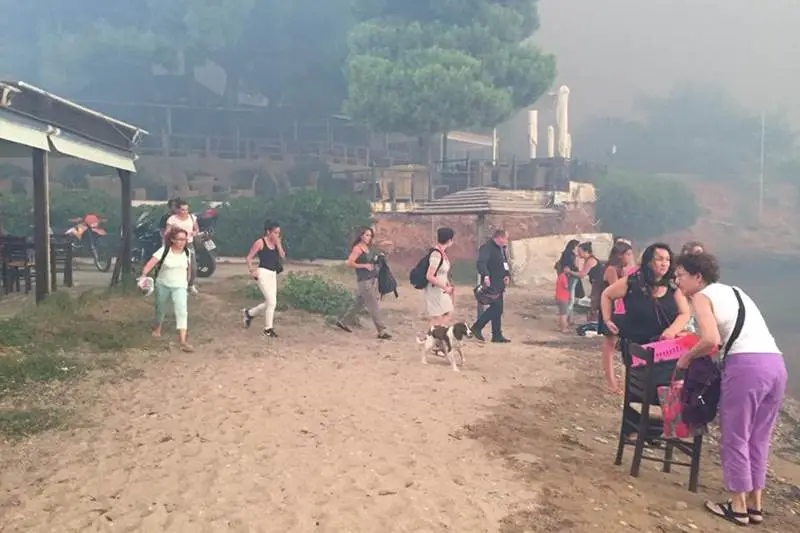 athens greece wildfires, greece news, greece fires, greece forest fire, greece wildfire, greece fires today, athens fire, athens forest fire, greece wildfire news, greek wildfire, greek fire photos