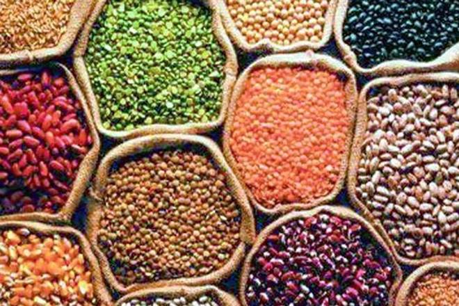 Government plans mega sale of pulses stock
