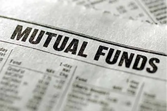 Investors hope of thinking big with small, crash. Small & mid-cap mutual funds post poor returns in 2018