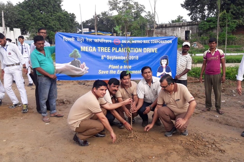 delhi plantation drive, mega tree plantation drive, delhi tree plantation, tree plantation day photos, arvind kejriwal, tree plantation in delhi, tree plantation campaign delhi