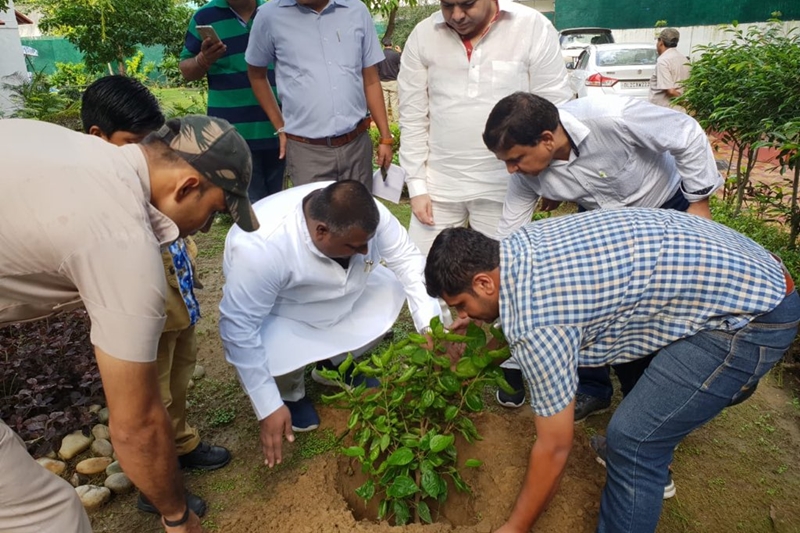 delhi plantation drive, mega tree plantation drive, delhi tree plantation, tree plantation day photos, arvind kejriwal, tree plantation in delhi, tree plantation campaign delhi