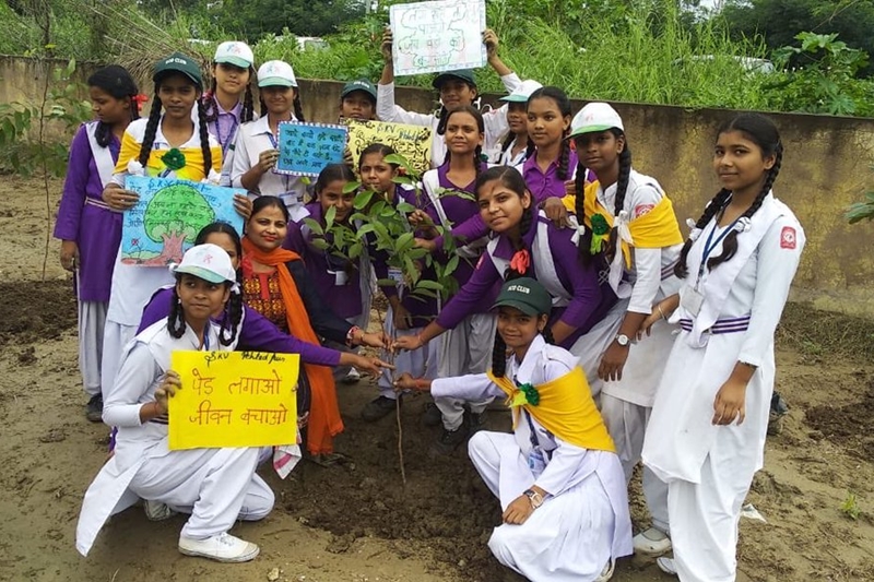 delhi plantation drive, mega tree plantation drive, delhi tree plantation, tree plantation day photos, arvind kejriwal, tree plantation in delhi, tree plantation campaign delhi