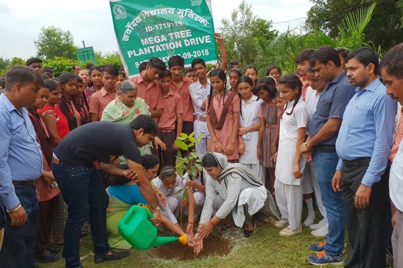 delhi plantation drive, mega tree plantation drive, delhi tree plantation, tree plantation day photos, arvind kejriwal, tree plantation in delhi, tree plantation campaign delhi