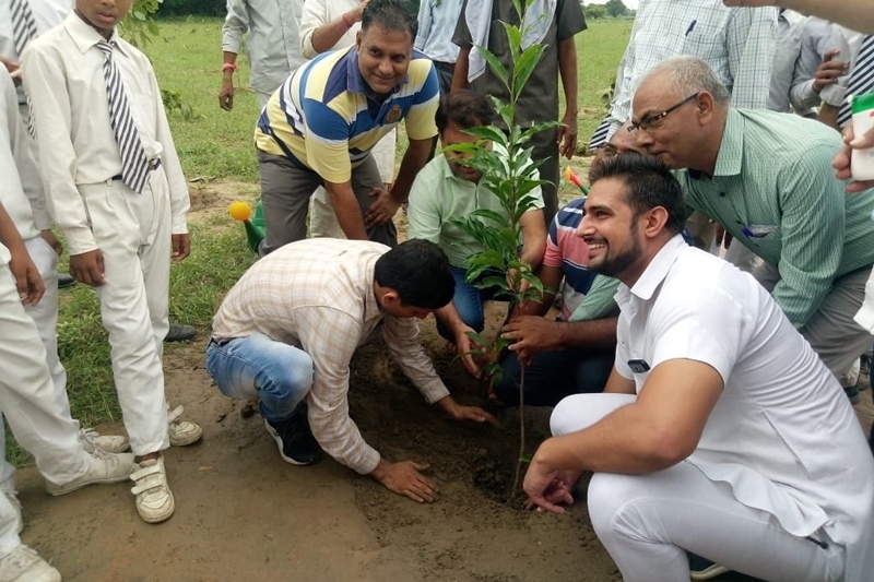 delhi plantation drive, mega tree plantation drive, delhi tree plantation, tree plantation day photos, arvind kejriwal, tree plantation in delhi, tree plantation campaign delhi