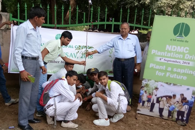 delhi plantation drive, mega tree plantation drive, delhi tree plantation, tree plantation day photos, arvind kejriwal, tree plantation in delhi, tree plantation campaign delhi