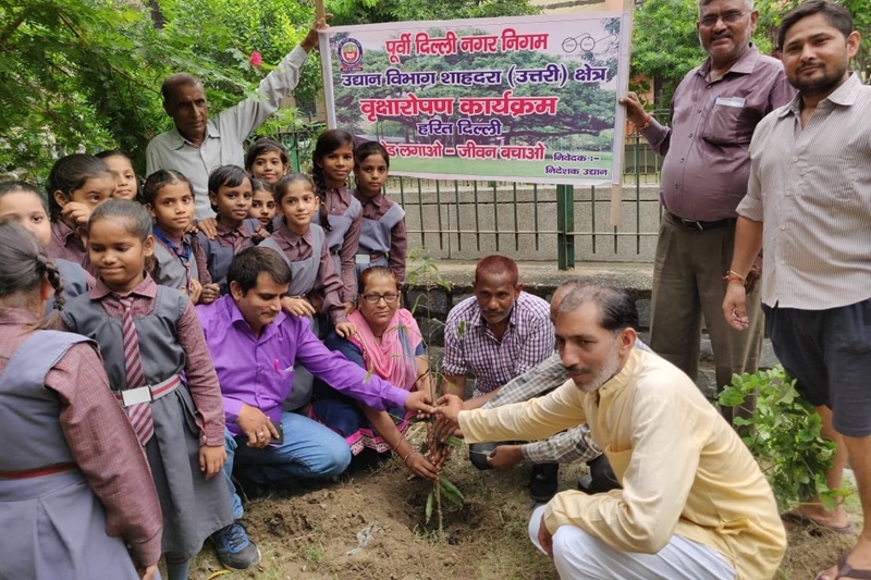 delhi plantation drive, mega tree plantation drive, delhi tree plantation, tree plantation day photos, arvind kejriwal, tree plantation in delhi, tree plantation campaign delhi