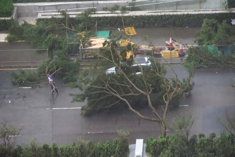 typhoon mangkhut live, typhoon mangkhut path, typhoon mangkhut latest news, typhoon mangkhut china, typhoon mangkhut vietnam, typhoon mangkhut hong kong, typhoon mangkhut update, typhoon mangkhut images, typhoon mangkhut pictures, typhoon in china 2018, typhoon in china now, typhoon in china pictures