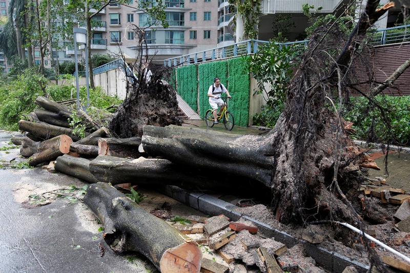 typhoon mangkhut live, typhoon mangkhut path, typhoon mangkhut latest news, typhoon mangkhut china, typhoon mangkhut vietnam, typhoon mangkhut hong kong, typhoon mangkhut update, typhoon mangkhut images, typhoon mangkhut pictures, typhoon in china 2018, typhoon in china now, typhoon in china pictures