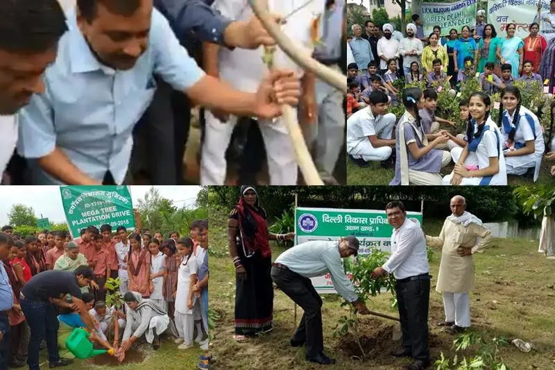 delhi plantation drive, mega tree plantation drive, delhi tree plantation, tree plantation day photos, arvind kejriwal, tree plantation in delhi, tree plantation campaign delhi