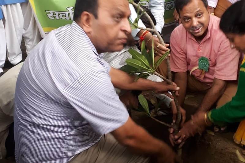 delhi plantation drive, mega tree plantation drive, delhi tree plantation, tree plantation day photos, arvind kejriwal, tree plantation in delhi, tree plantation campaign delhi