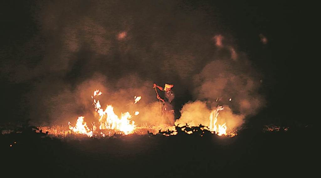 Delhi Environment Minister expresses concern over stubble burning