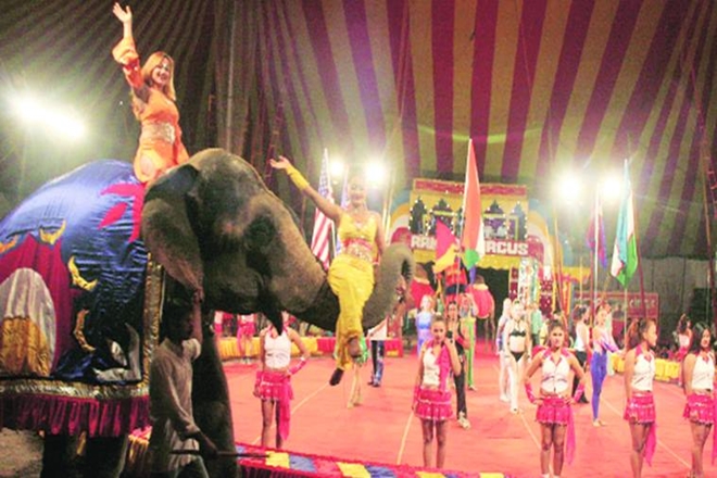 "... it will show the world that India is a progressive, compassionate nation that does not tolerate animal abuse,” said Manilal Valliyate, CEO, People for the Ethical Treatment of Animals (PETA) India (file image)
