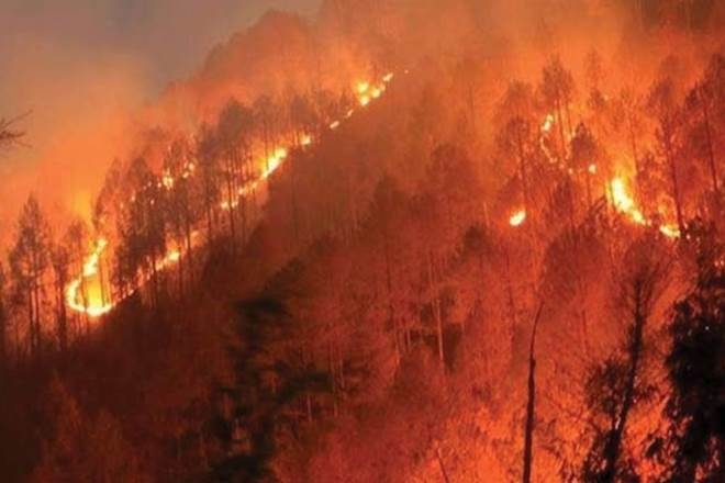 California Wildfire: Number of missing continues to fluctuate