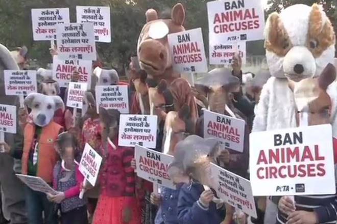 Demonstration urging govt to ban the use of animals in circuses. (ANI)