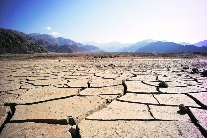 Rhetoric no salve for farm distress