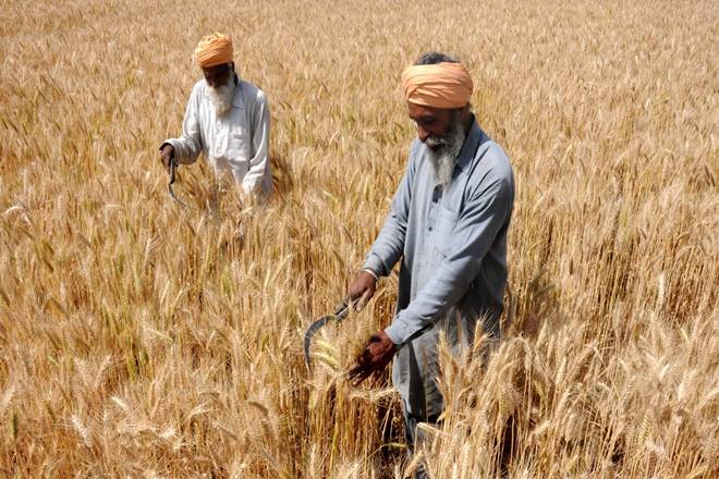 India Union Budget 2019 Expectations: 