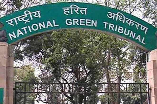 The National Mission for Clean Ganga (NMCG) may consider utilising Ganga task force during the Kumbh Mela to be associated with the solid waste management and water quality issues, the NGT said.