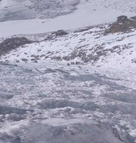 snowfall in himachal, himac hal pradesh snowfall, himachal pradesh