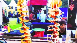 zomato, zomaland