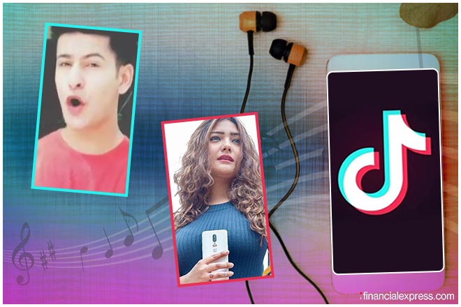 Ban TikTok app? Tamil Nadu government to approach Centre | The Financial  Express