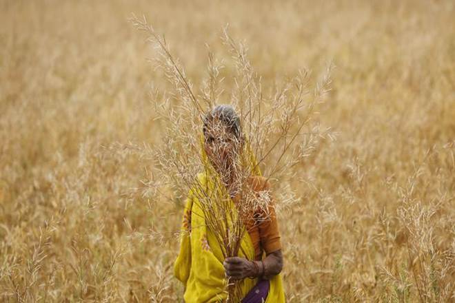 PM Kisan Samman Nidhi, budget 2-019 for farmers, marginal farmers,  agriculture ministry, PM-KISAN