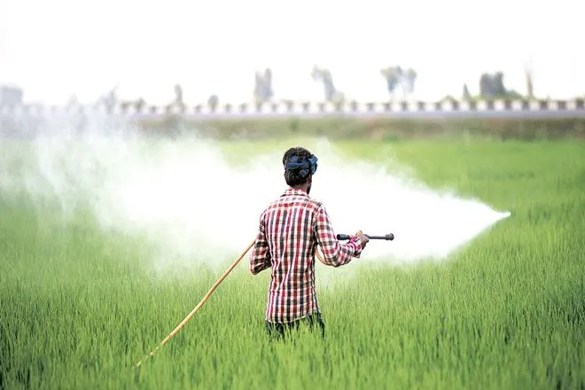 Budget 2019, Pradhan Mantri Kisan Samman Nidhi, Interim Budget, MGNREGA, Atal Pension Yojana, unorganised sector
