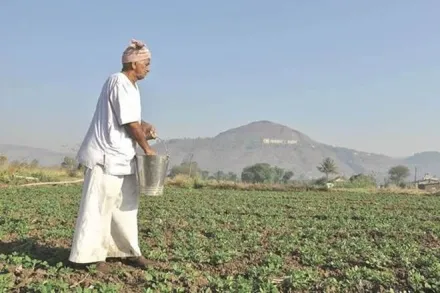 Modi’s Rs 6,000 income-support for farmers may do more harm than good; here’s what’s actually needed